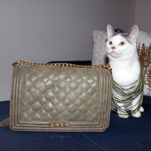 Kittie approved BEBE Bag